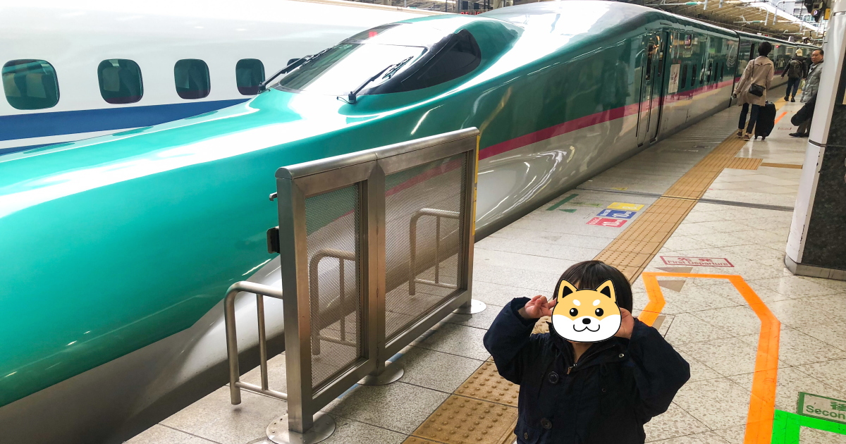 こまち か はやぶさ に乗りたいのに子連れ旅行に行く場所がない レオハウスで建てた家と子育ての話